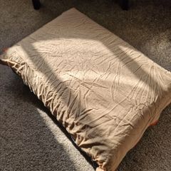 Camping pillow