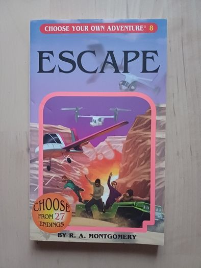 Choose Your Own Adventure by R.A. Montgomery (Illustrated Fantasy Retro Game Books 2005 NEW)