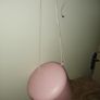 Ceiling light Image 6