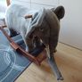 Hansa Rocking Elephant Image 2