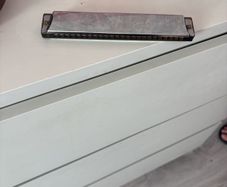 harmonica