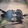 Special Forces The World's Most Significant And Famous Elite Forces Image 6