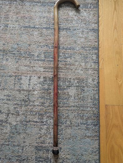 Walking stick