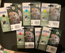 Epson T079 series ink cartridges