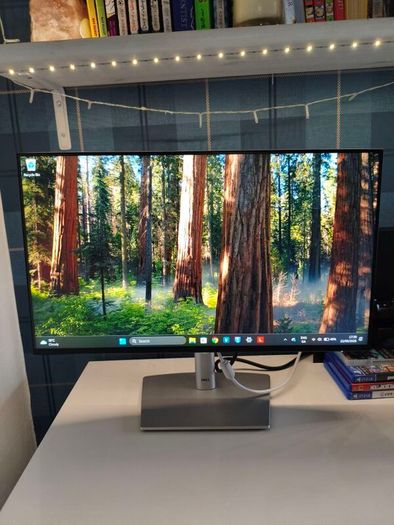 DELL P2425H monitor 100Hz adjustable stand IPS LCD