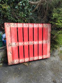 Free Pallet/Firewood