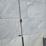 Extension Tree Pruner Image 3