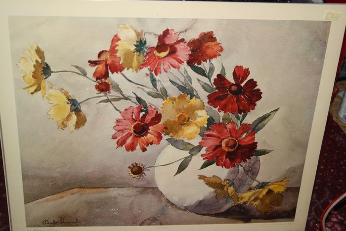 HELENIUM AND CORIOPSIS