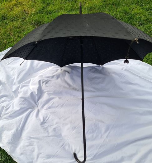 Vintage Black umbrella / parasol B & C Champion, Rare find