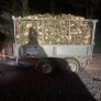 Firewood Image 5