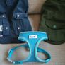 Two Tiny Dog Coats And A Harness Image 4