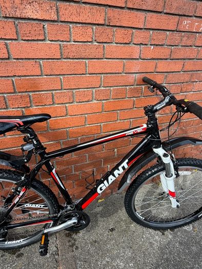 giant mountain bike