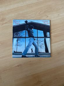 Vinyl. / Record / Album