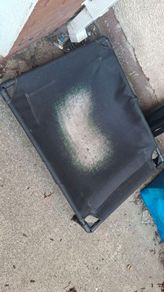 dog bed free to