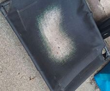 dog bed free to