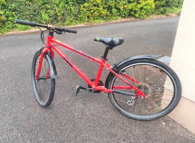 Frog kids bike
