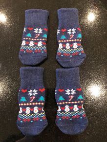 Dog socks