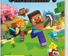 Minecraft for Nintendo switch