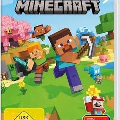 Minecraft for Nintendo switch
