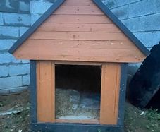 dog box