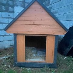 dog box