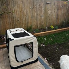 Dog travel crate X Large