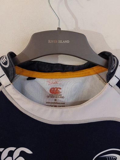 leinster rugby jersey