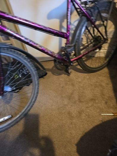 ladies bike manual Falcon