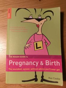 Rough guide to pregnancy and birth