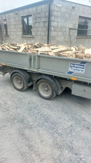 ash firewood. Seasoned.