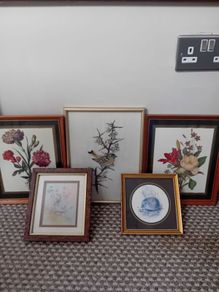bundle 5 vintage pictures