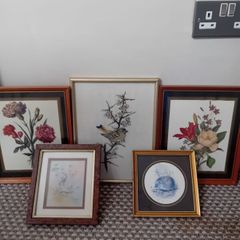bundle 5 vintage pictures