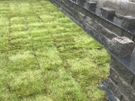 gardening and landscaping Image 2
