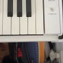 Digital Piano by Gear4music DP-10x Image 3