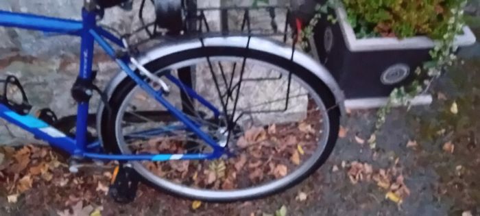 Gents Bicycle Bargin