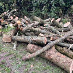 Firewood for Sale