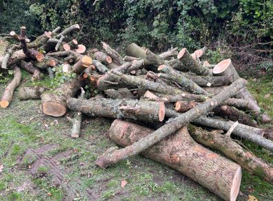 Firewood for Sale