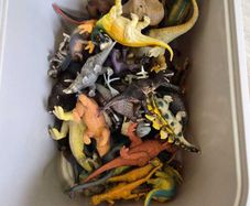 Educational toys