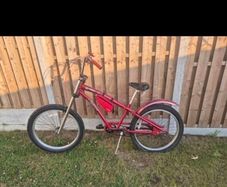 free bike