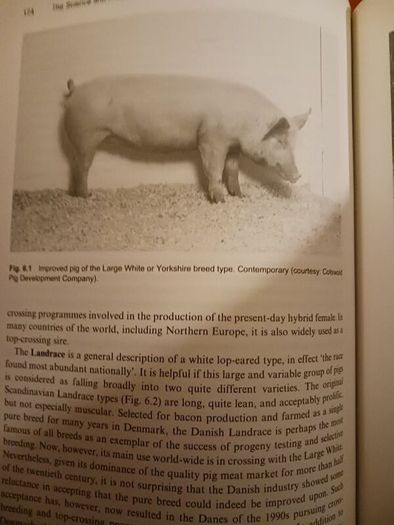 The Science & Practice of Pig Production/ Colin T. Whittmore/ 1998