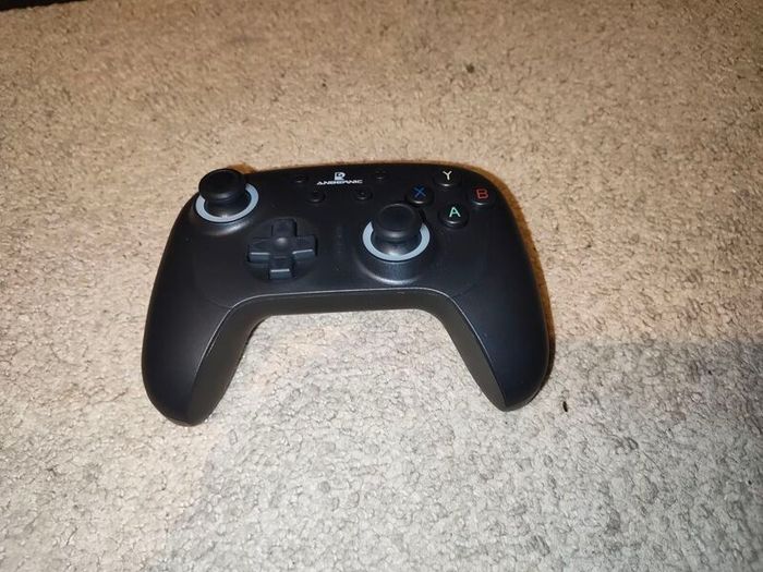Ambernic Officiall controller