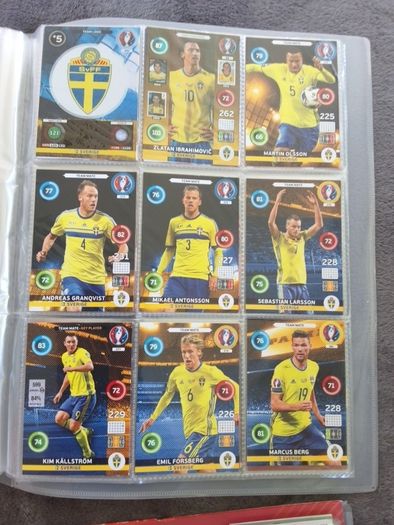 Euro 2016 france cards