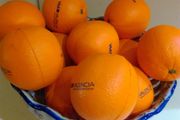 Stress balls, 70mm