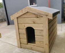 dog kennel