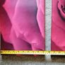 3 piece Canvas wall art Image 6