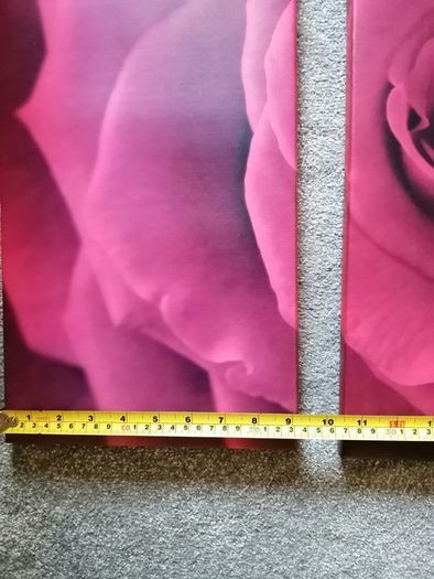 3 piece Canvas wall art