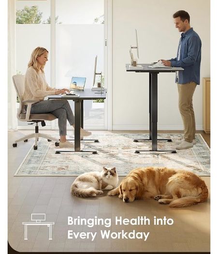Electric Standing Desk, 120x60cm Height Adjustable Desk with 2 Memory Presets, Quiet Sit Stand Desk for Home Office Bedroom Living Room, Ergonomic Computer Desk with Hooks & Cable Holes, Black