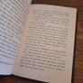 The Fire Thief Hardback, Reading Age 9-12 Image 3