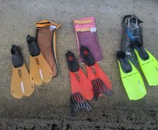 Flippers