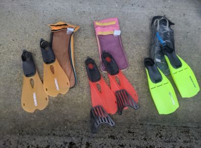 Flippers